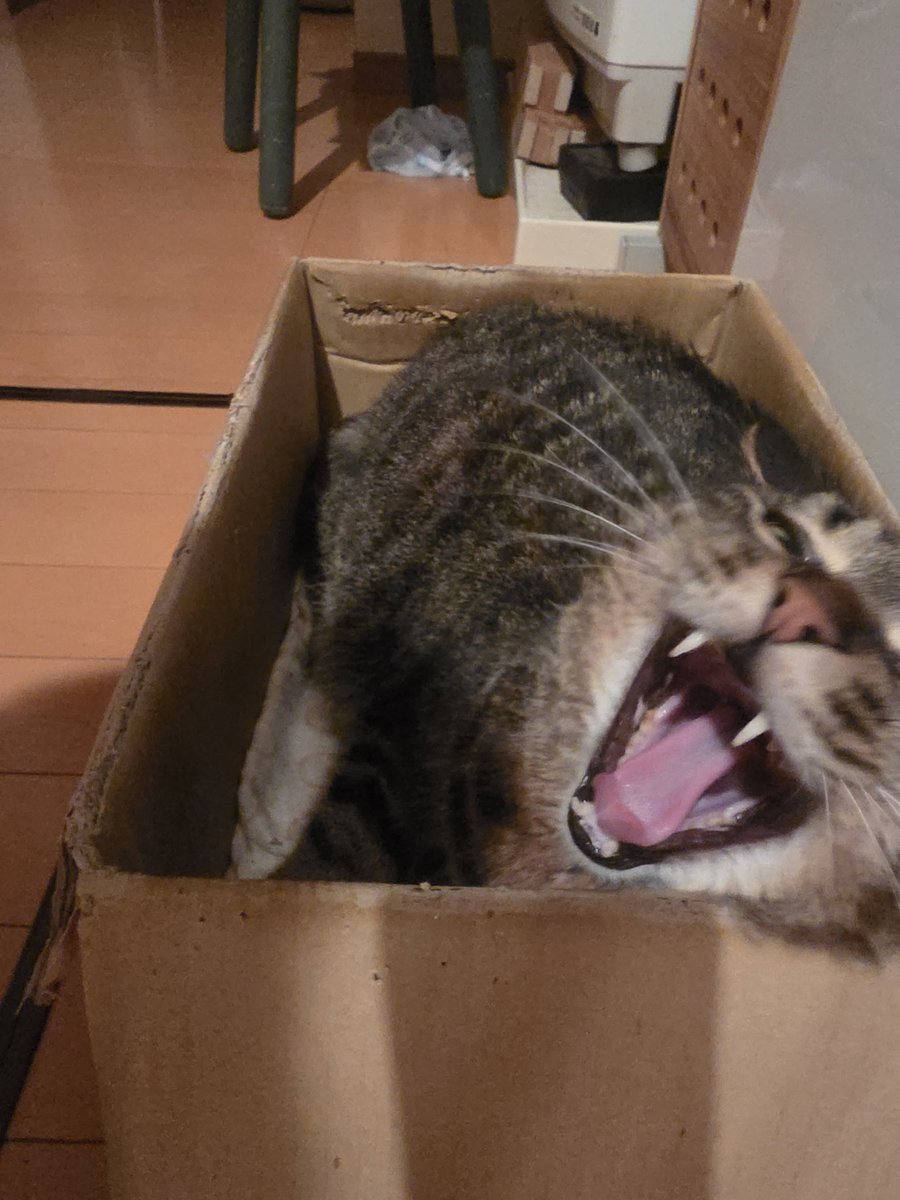 はる・O・うぇん tweet media