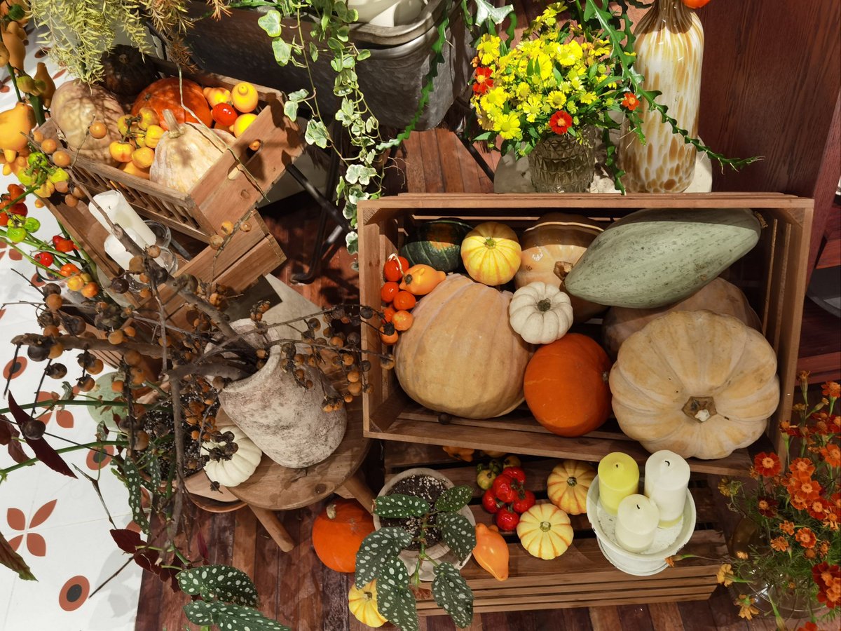 Andrey Y tweet media