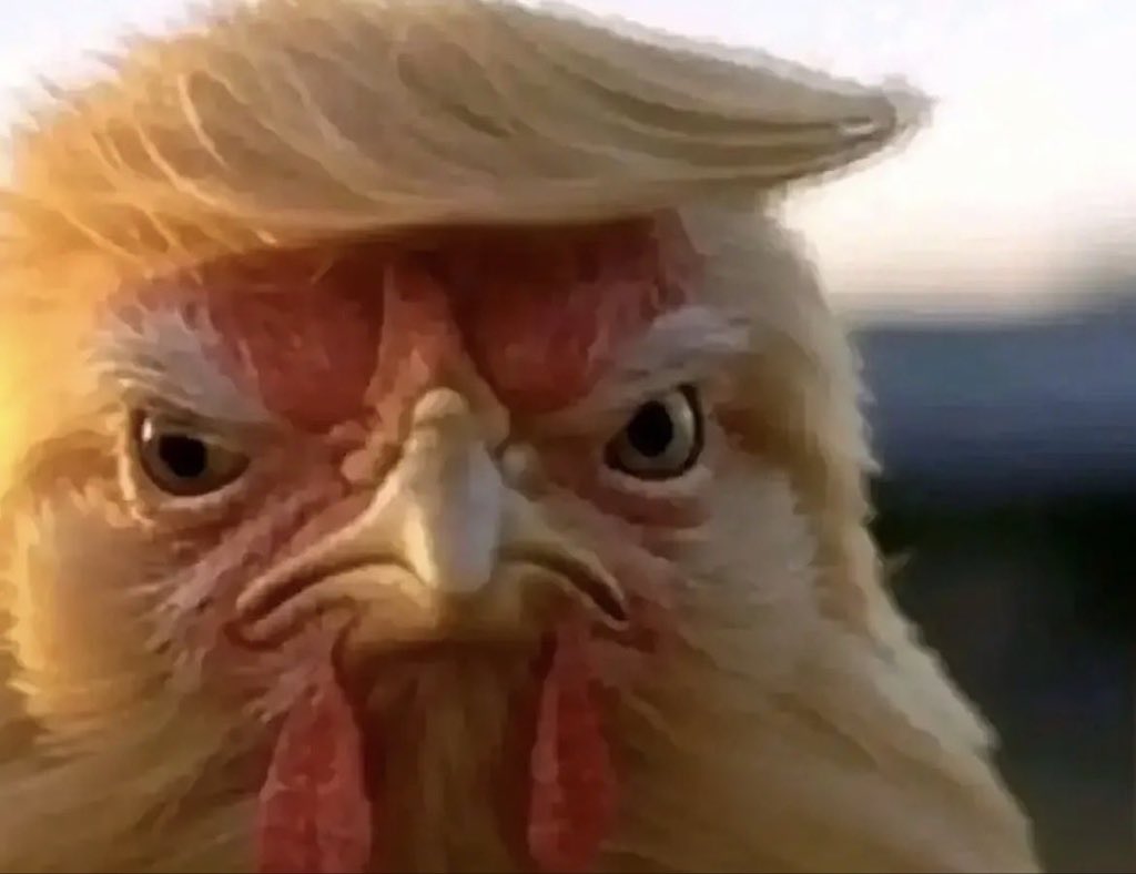 RPC Defense Watch tweet media