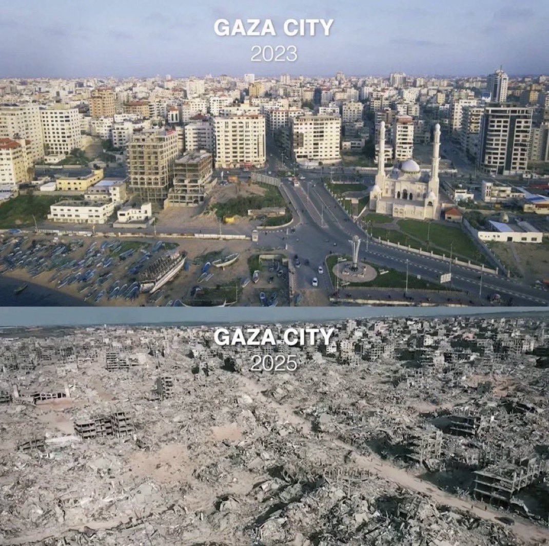 𝓞𝔀𝓷𝓡𝓾𝓵𝓮𝓼 tweet media