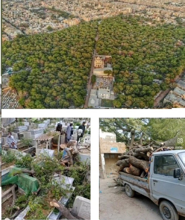 Ghulamuddin (GD) tweet media