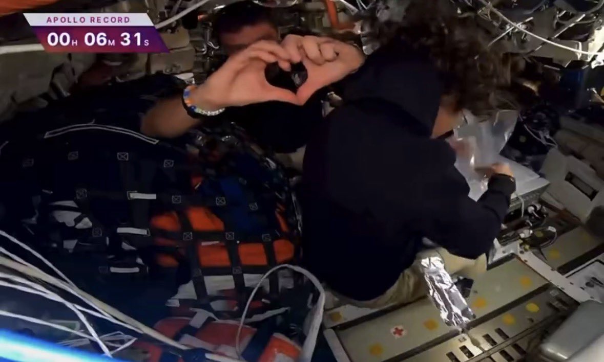 angelina⸆⸉ | 🦋🐞FENWAY🐞🦋 tweet media