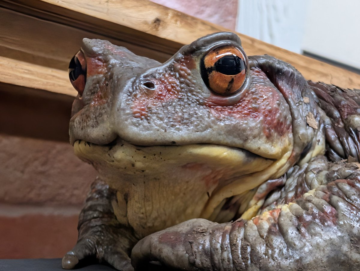 確定申告 tweet media