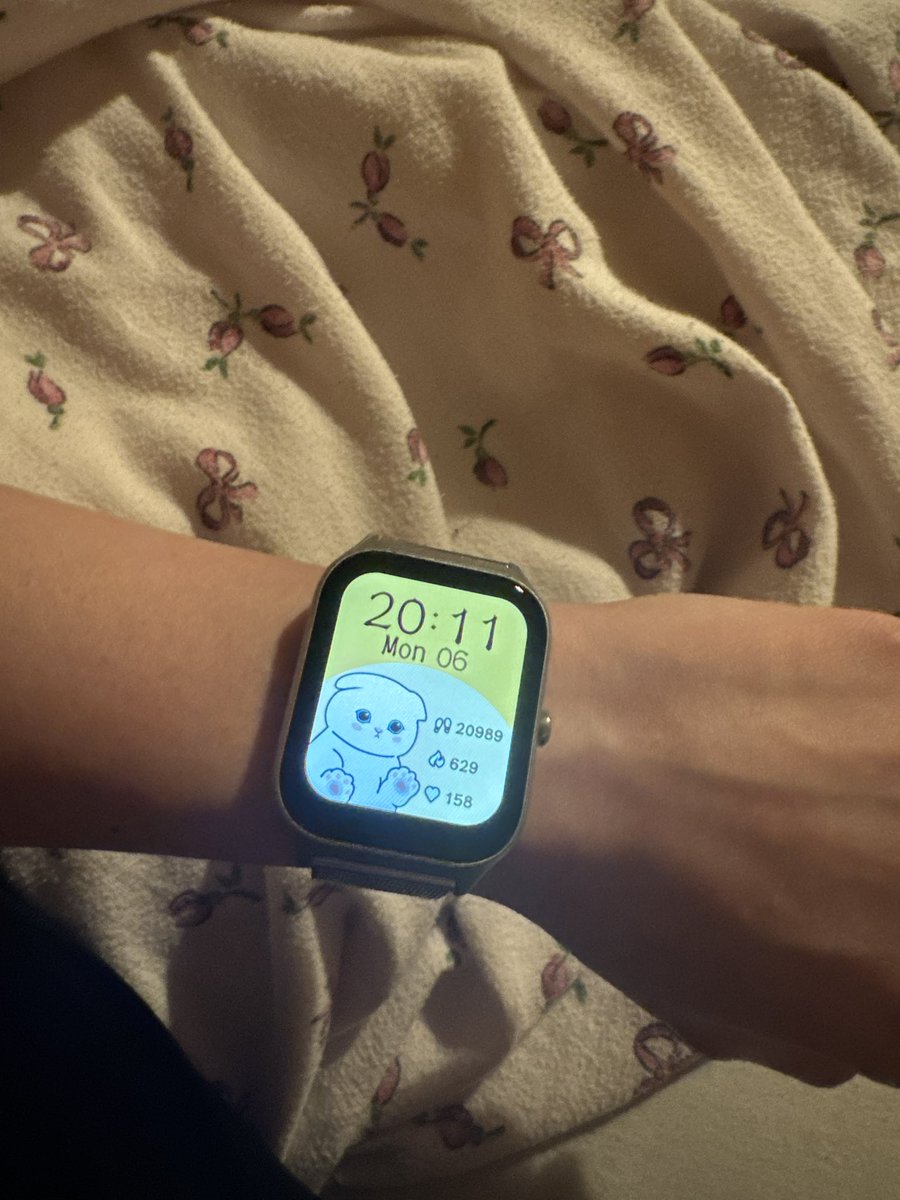 KITTY /ᐠ - ˕ -マ tweet media