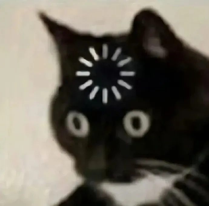 Maruzo 🐉🏔️ tweet media