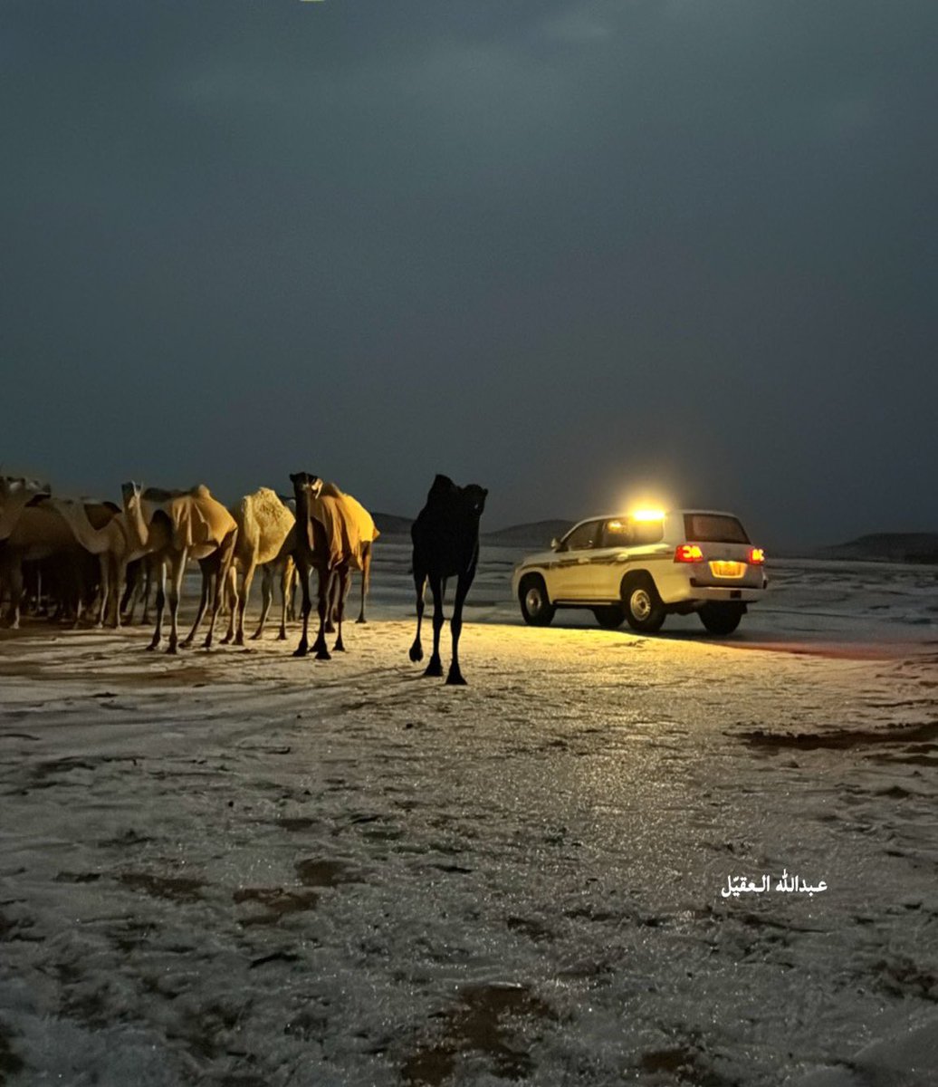 AlQassim Pinterest tweet media