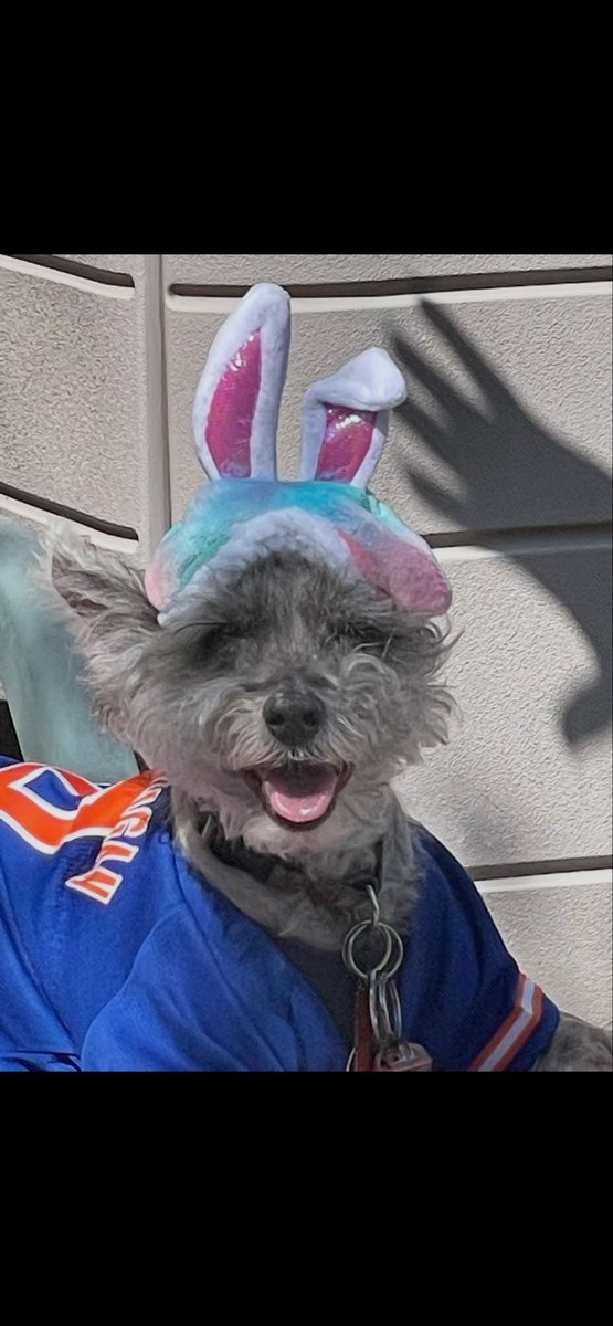 Mr. Mullunigan tweet media