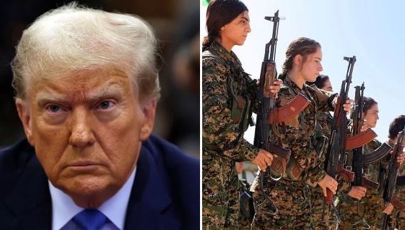 Saeid Dehnad | سعید دهناد🇺🇸🇮🇷 tweet media