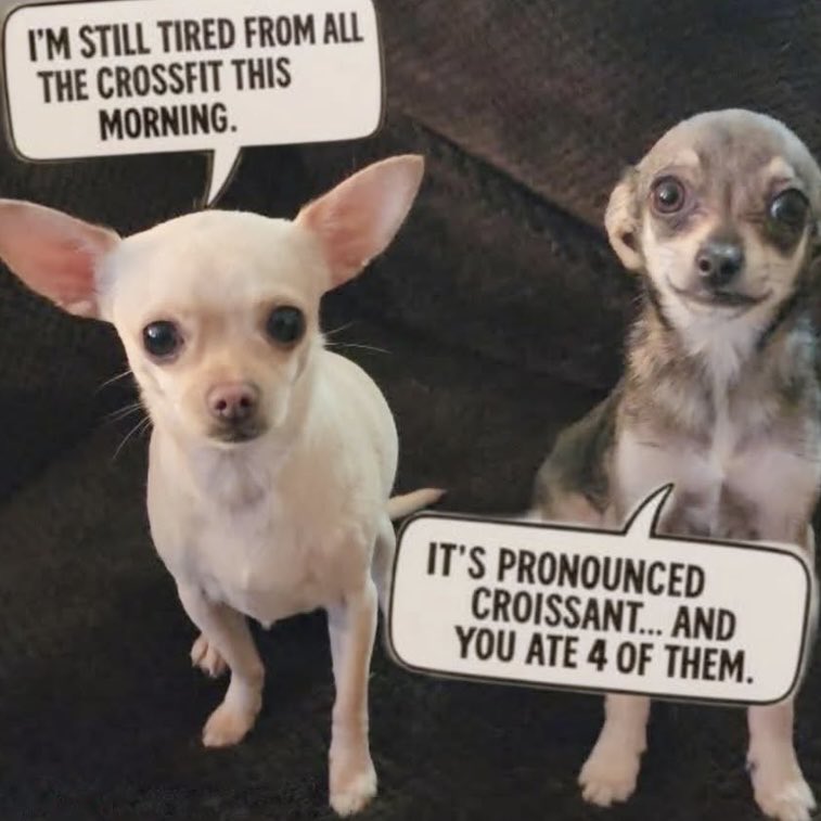 immahermit tweet media