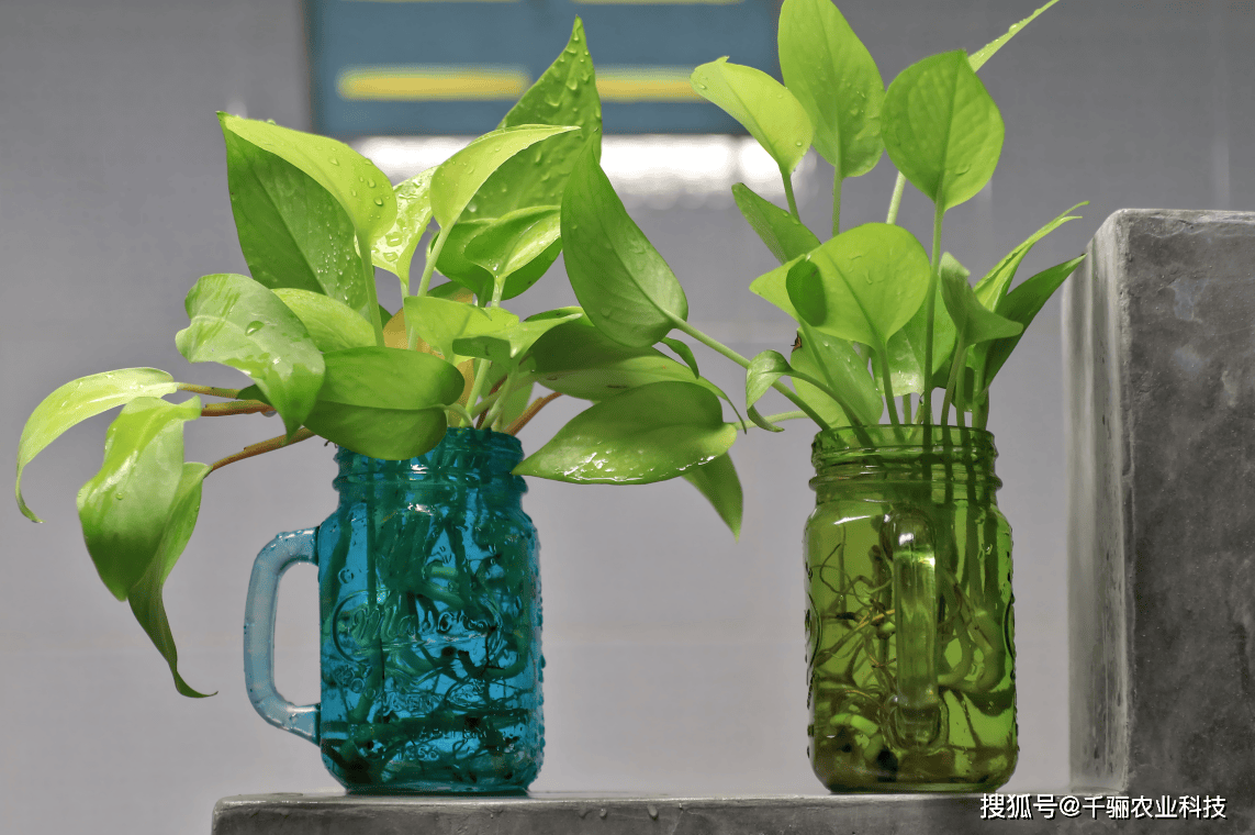 Kuimov Andrey tweet media