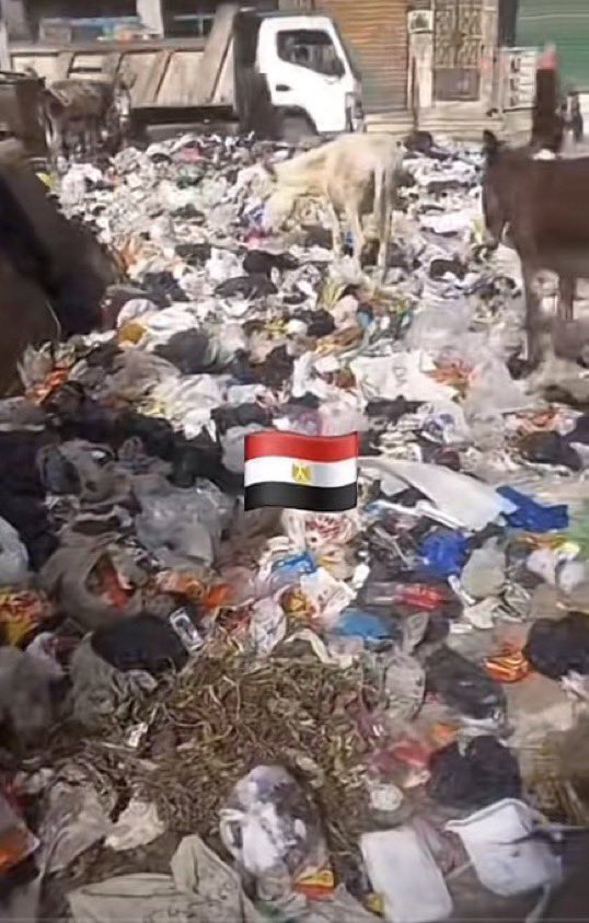 MAJED | Researcher |🐪📖 tweet media