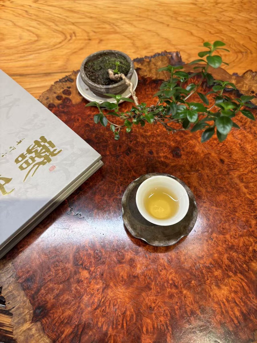 Agarwood and Tea

🍃Click on the following link to purchase Denong premium tea⬇️
denongtea.com
#tea #puerh #tealover #tealife #gongfucha #teatime #yunnan #premiumtea #teaworld #yunnantea #chinese #teapot #chadao #chinesetea #porecelain #pottery #teaware #cha #teaculture