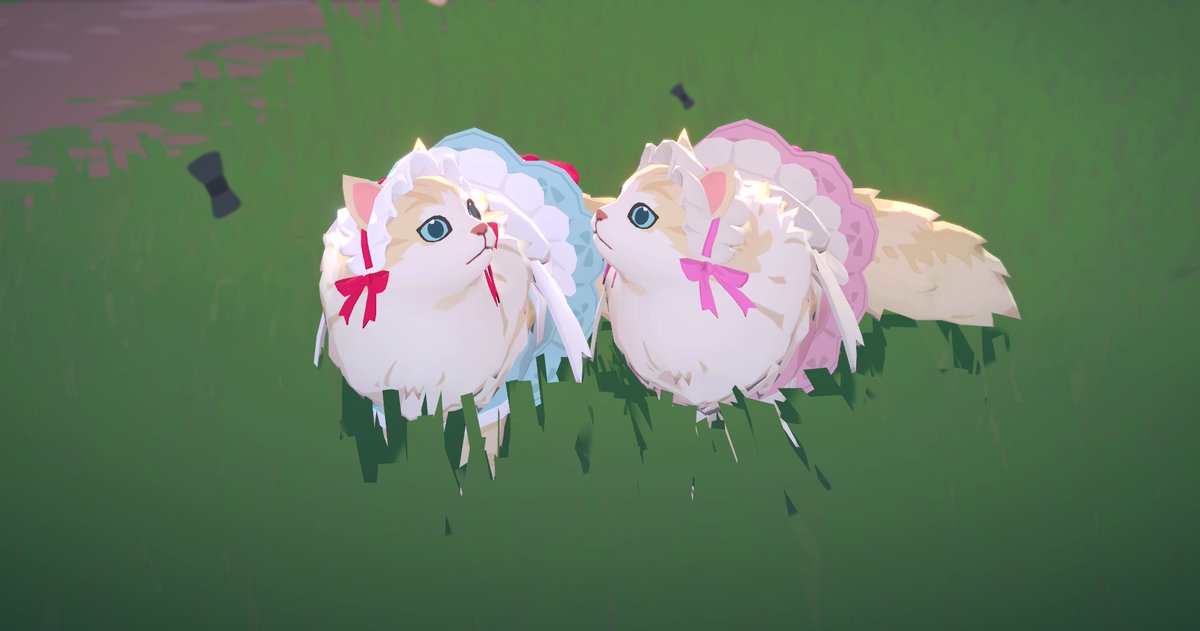 체리츄🍒 (@cherrychu_mbng) on Twitter photo 