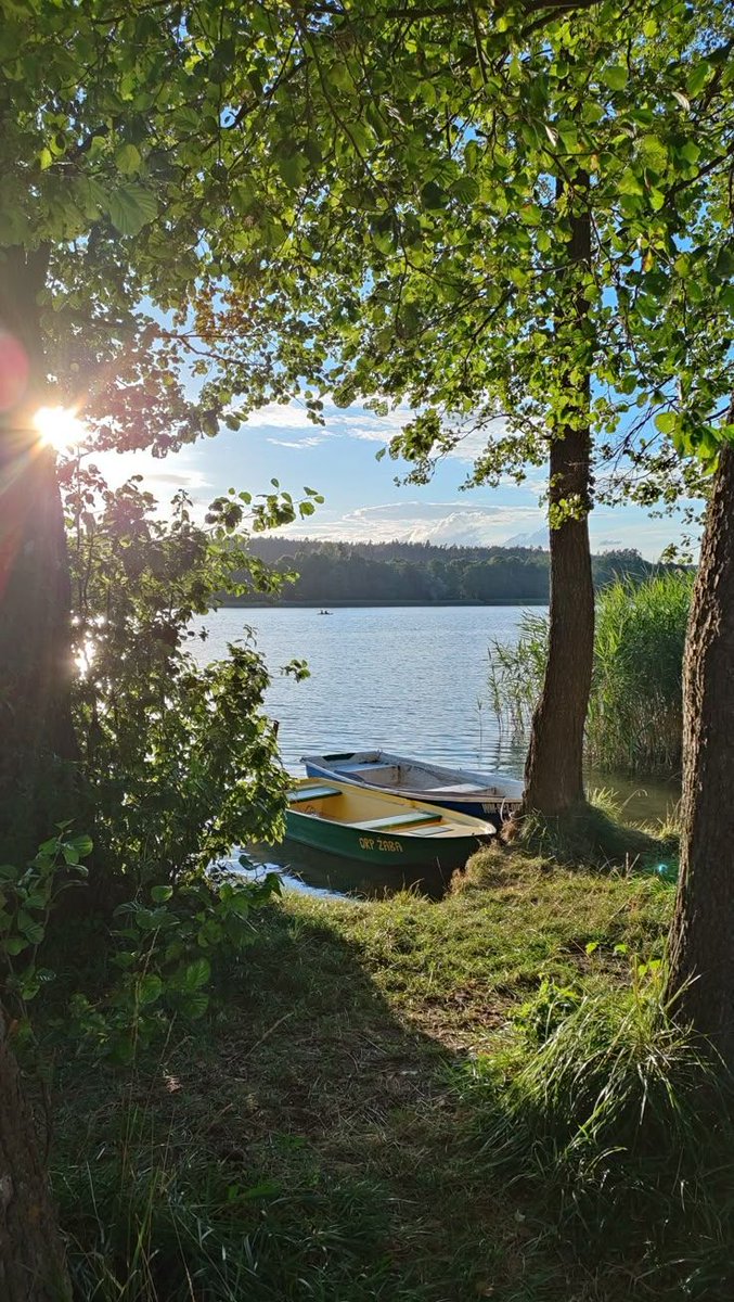 only aesthetic tweet media