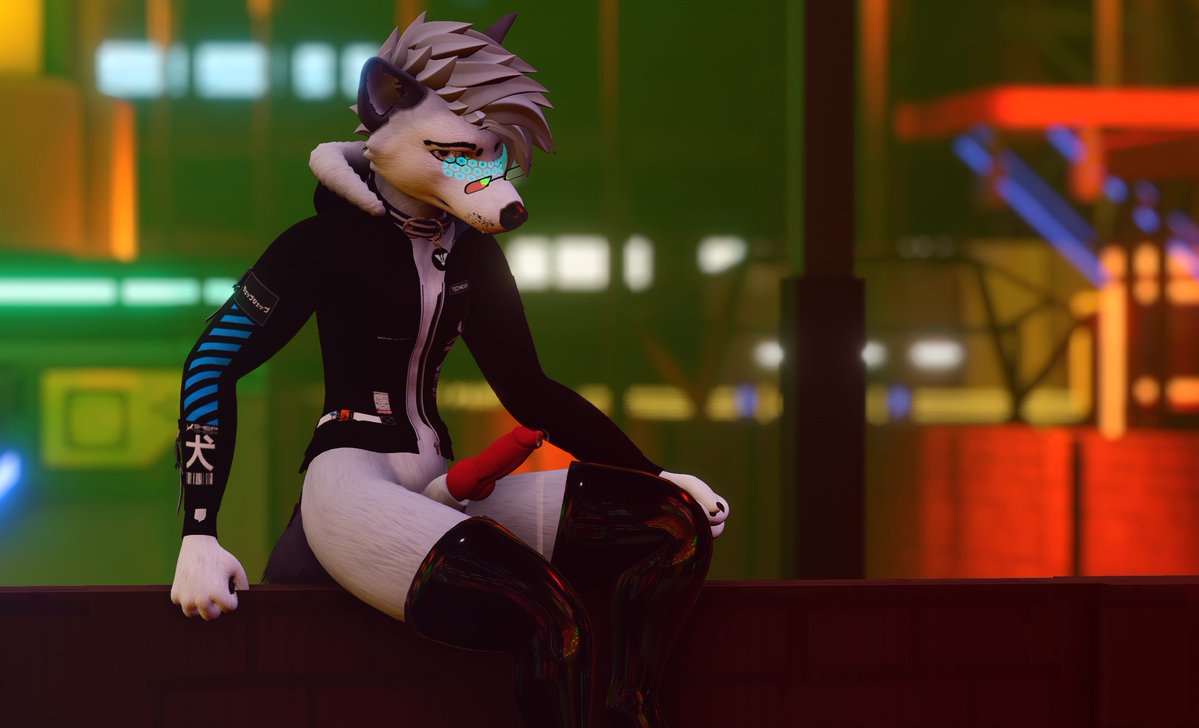 Amabro 🐺 🔞 tweet media