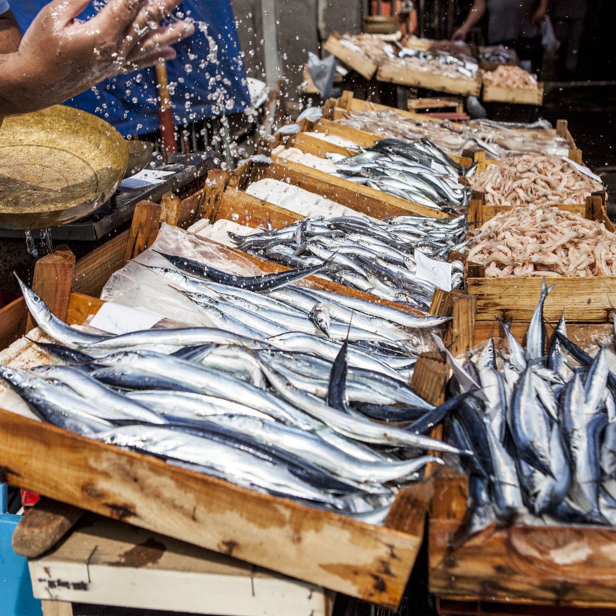 ArthousePR's tweet photo. The Hidden Heart of Sicily- Experience a taste of authentic Sicily with a curated Sicilian Baroque and Gastronomic Tour hosted by Italy Charme. Immerse yourself in the rich and colourful tapestry of Sicily's history. https://t.co/qiIAIvJUET