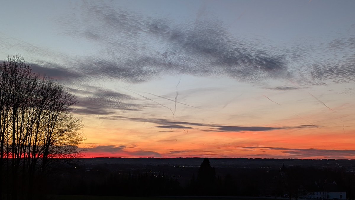 Halltaler 🧭 tweet media