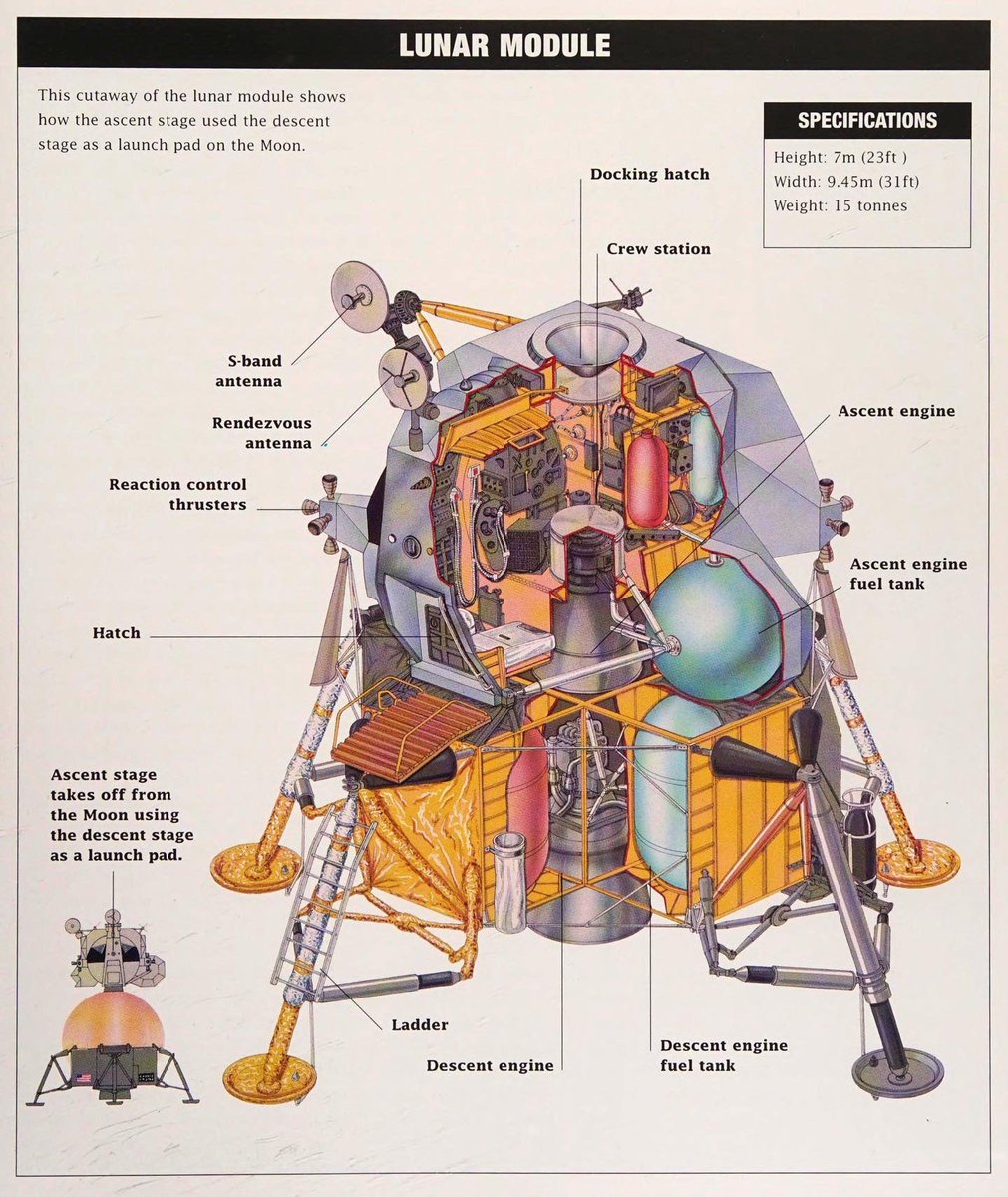 Devon Stack tweet media