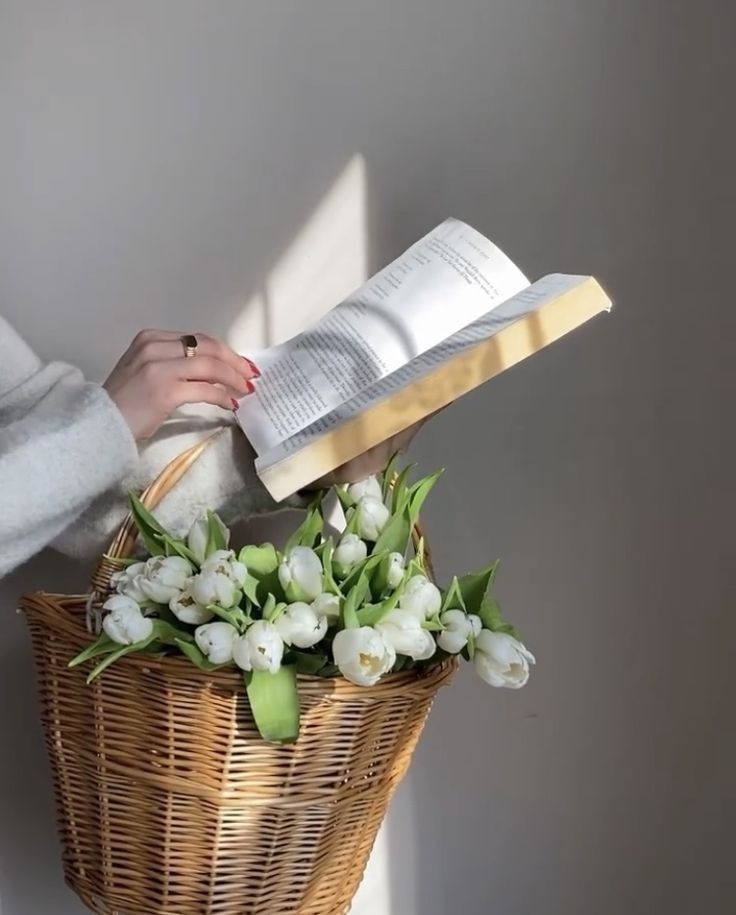 ندى🪽 tweet media