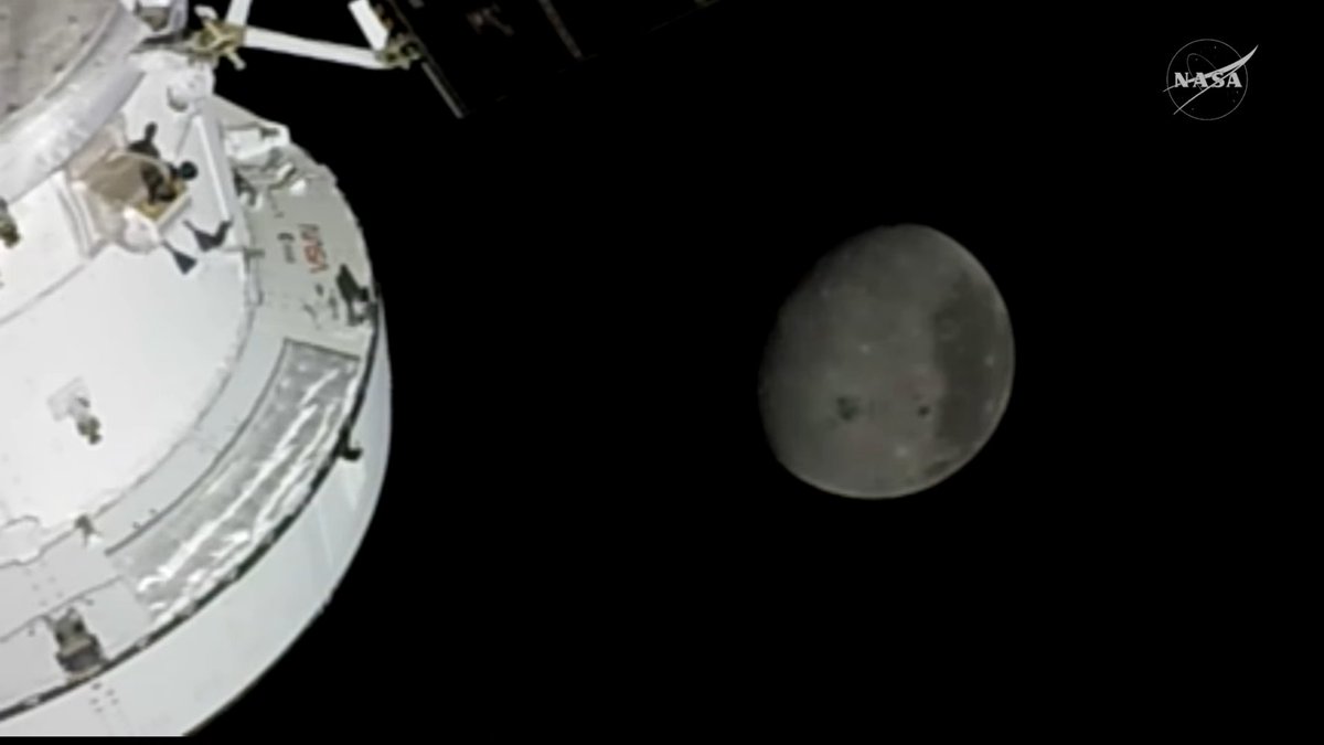 Professor tweet media