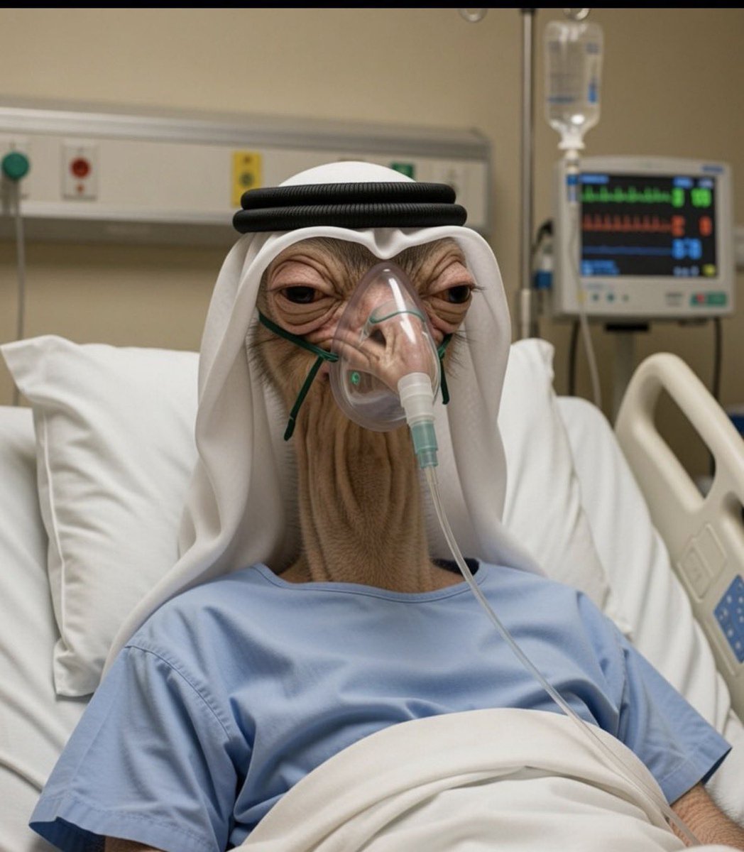 Abo Qaswara tweet media