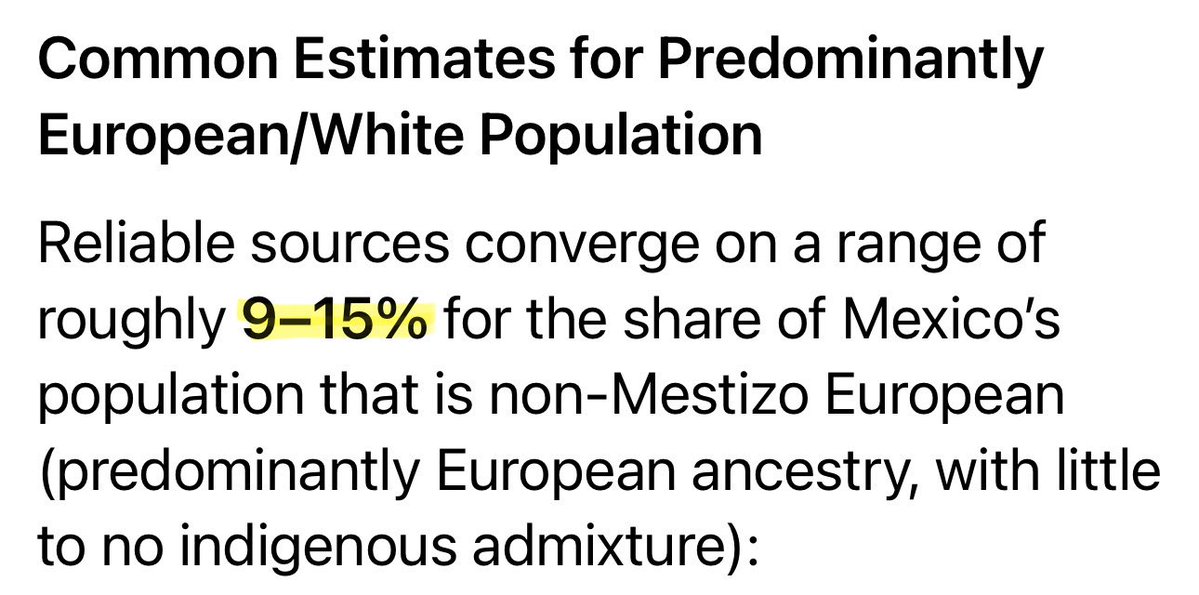 Laughing Lions 🦁 tweet media