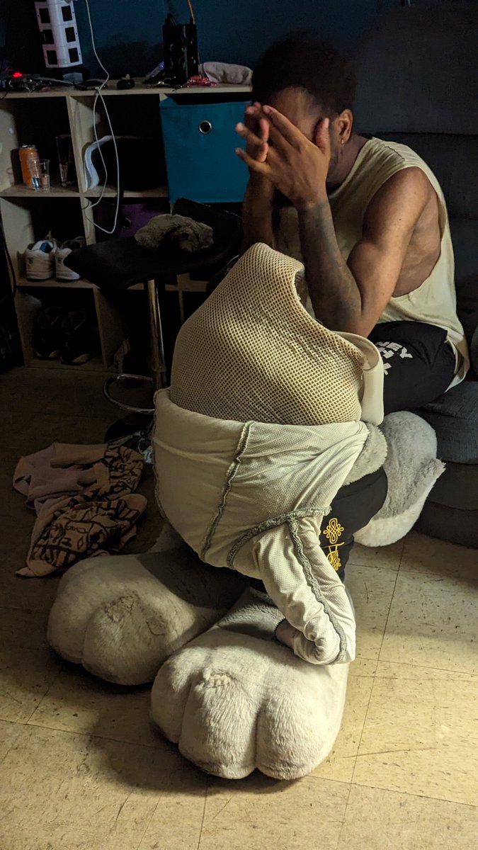 Bailey, Captain of The Bernese Mountain Dogs tweet media