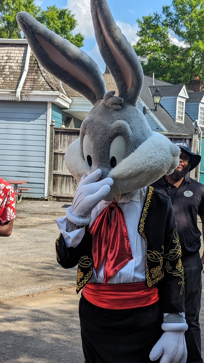 Bailey, Captain of The Bernese Mountain Dogs tweet media