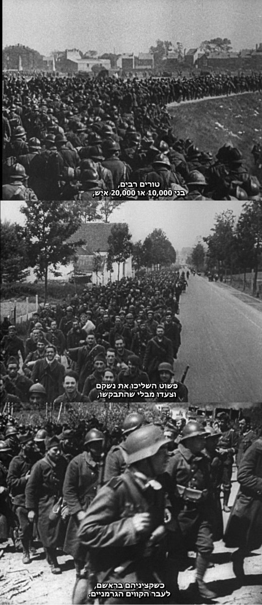 Eylam Shay tweet media