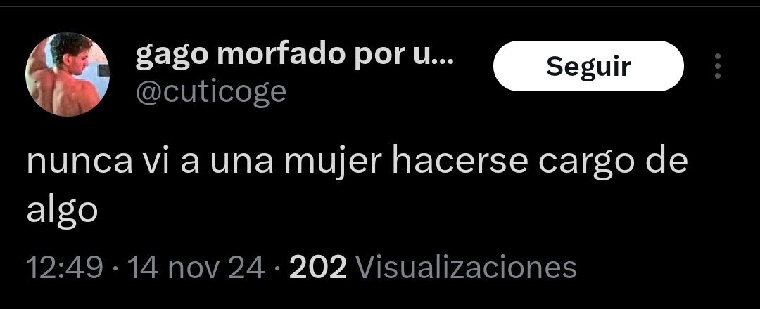 petarditem tweet media