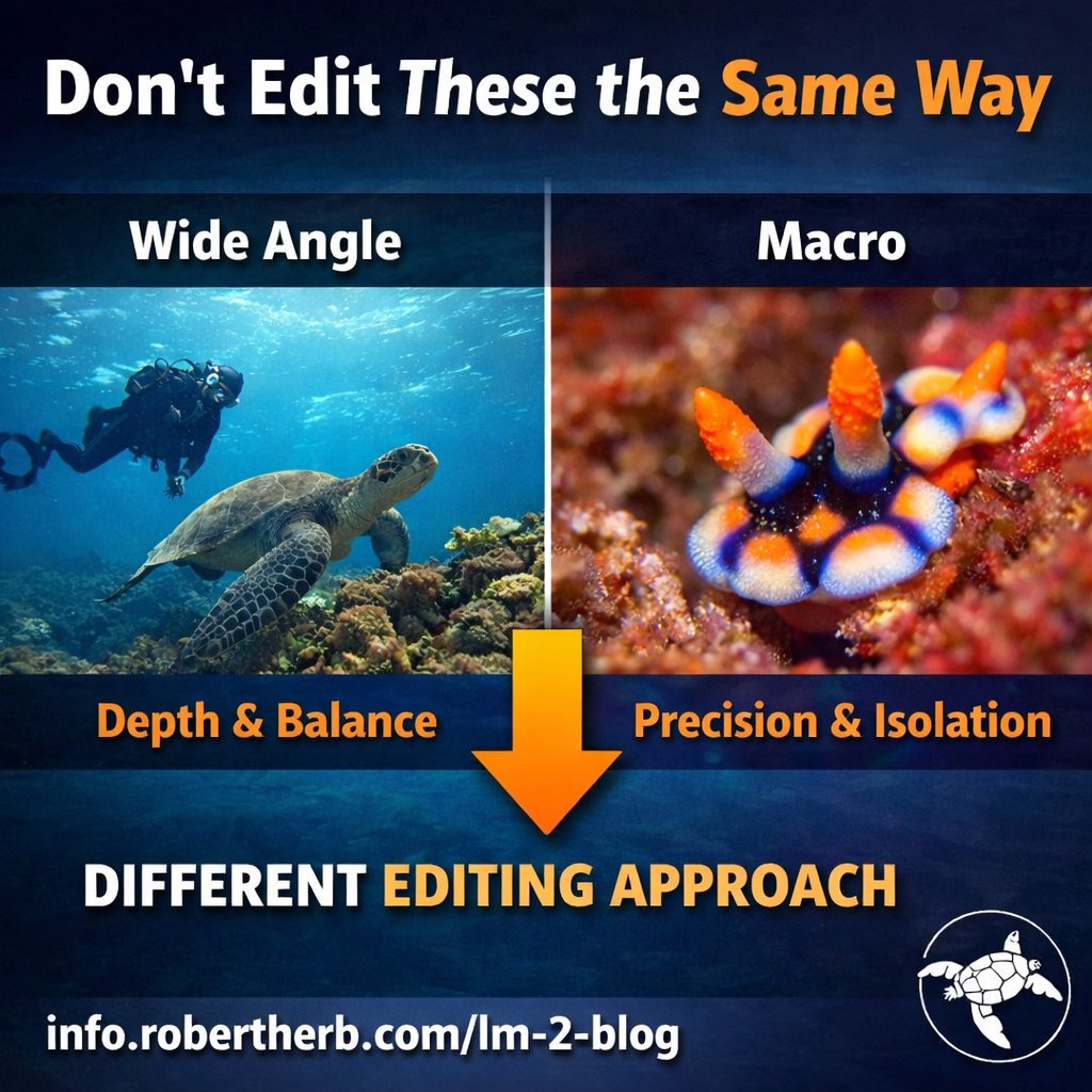 RobHerbPhoto's tweet image. Stop editing all your underwater photos the same way.

Wide-angle ≠ Macro

Different shots need different Lightroom approaches.

📸 Learn how: info.robertherb.com/lm-2-blog

#UnderwaterPhotography #Lightroom
