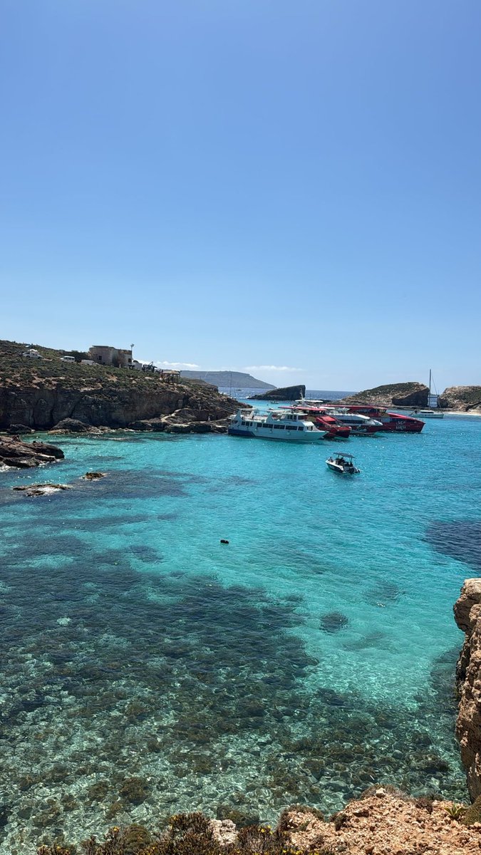 datguycizz tweet media