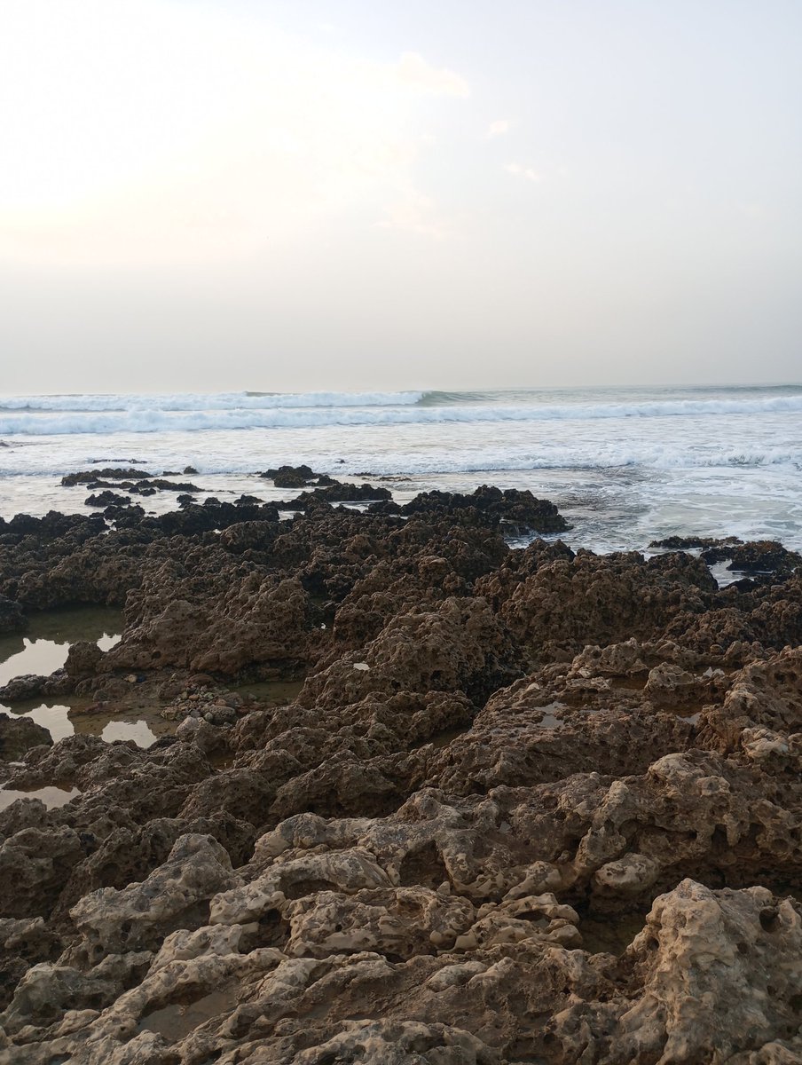 jawad ⵣ tweet media