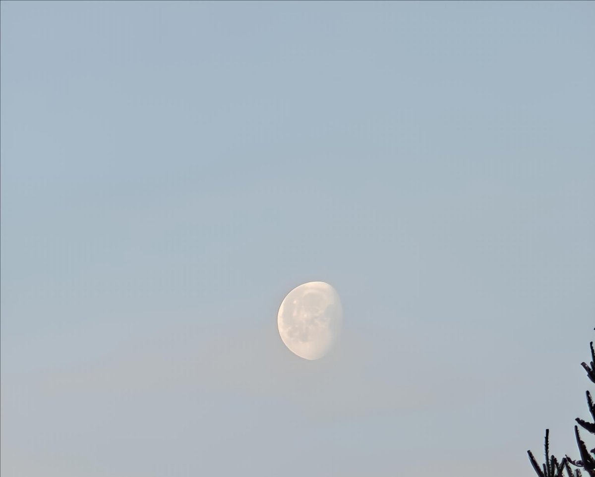 John D Hamilton tweet media