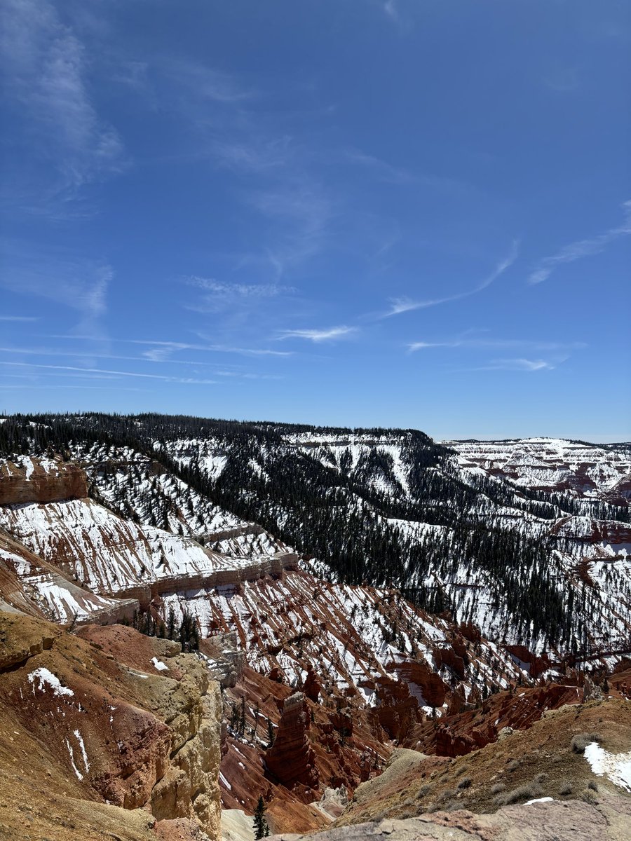 my team is trash so what? (yet again) tweet media