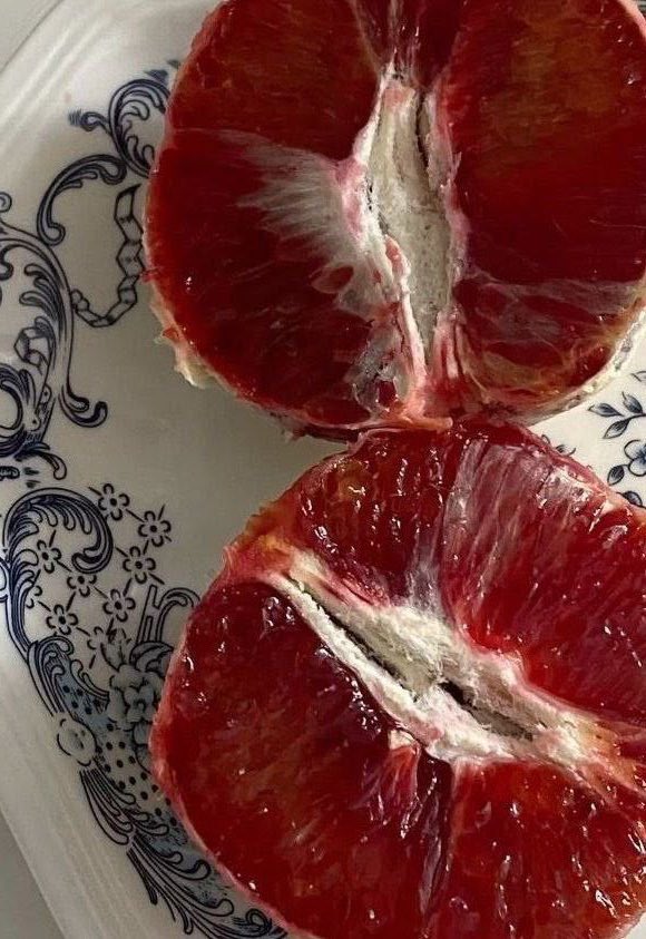 ⟢ nika tweet media