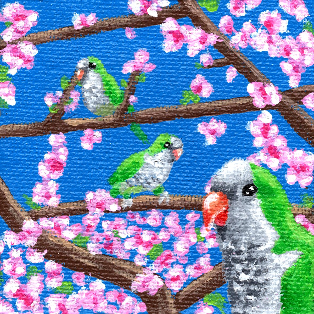 PunkBurdArts's tweet photo. Some spring quakers. https://t.co/w7tAATDD5s