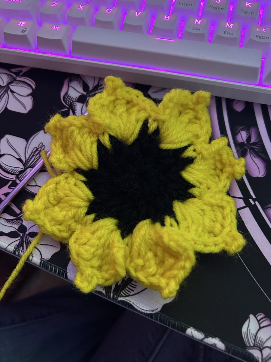 Lo_ResQ's tweet photo. Probably gonna get lost in a little field of crocheted sunflowers 🌻 https://t.co/Gr8GHHnapq