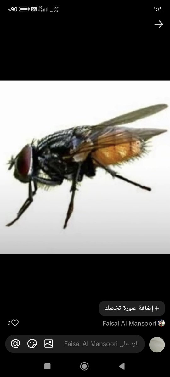 envoy1470 tweet media