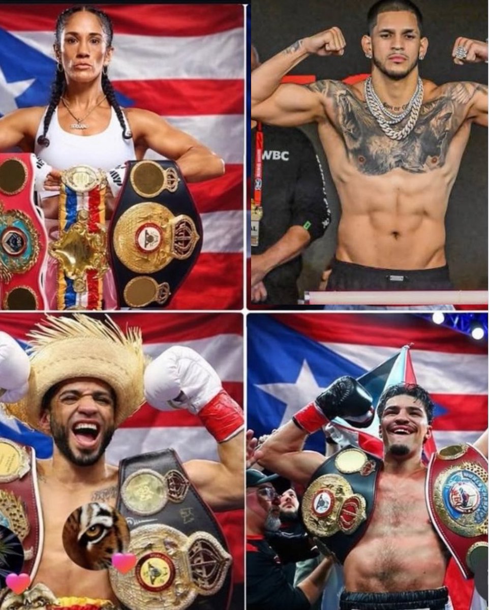 INEVITABLE/DBLOCK🎙️🥊 tweet media