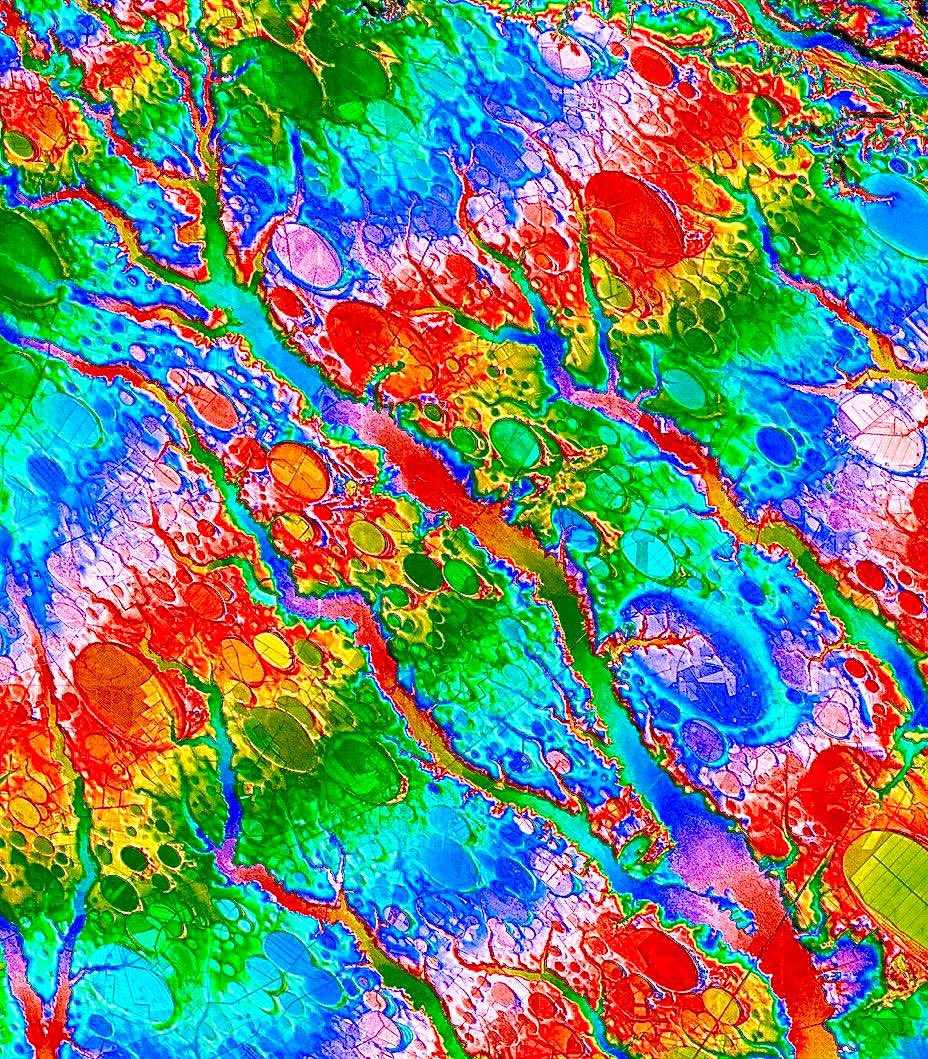 chris hutter tweet media