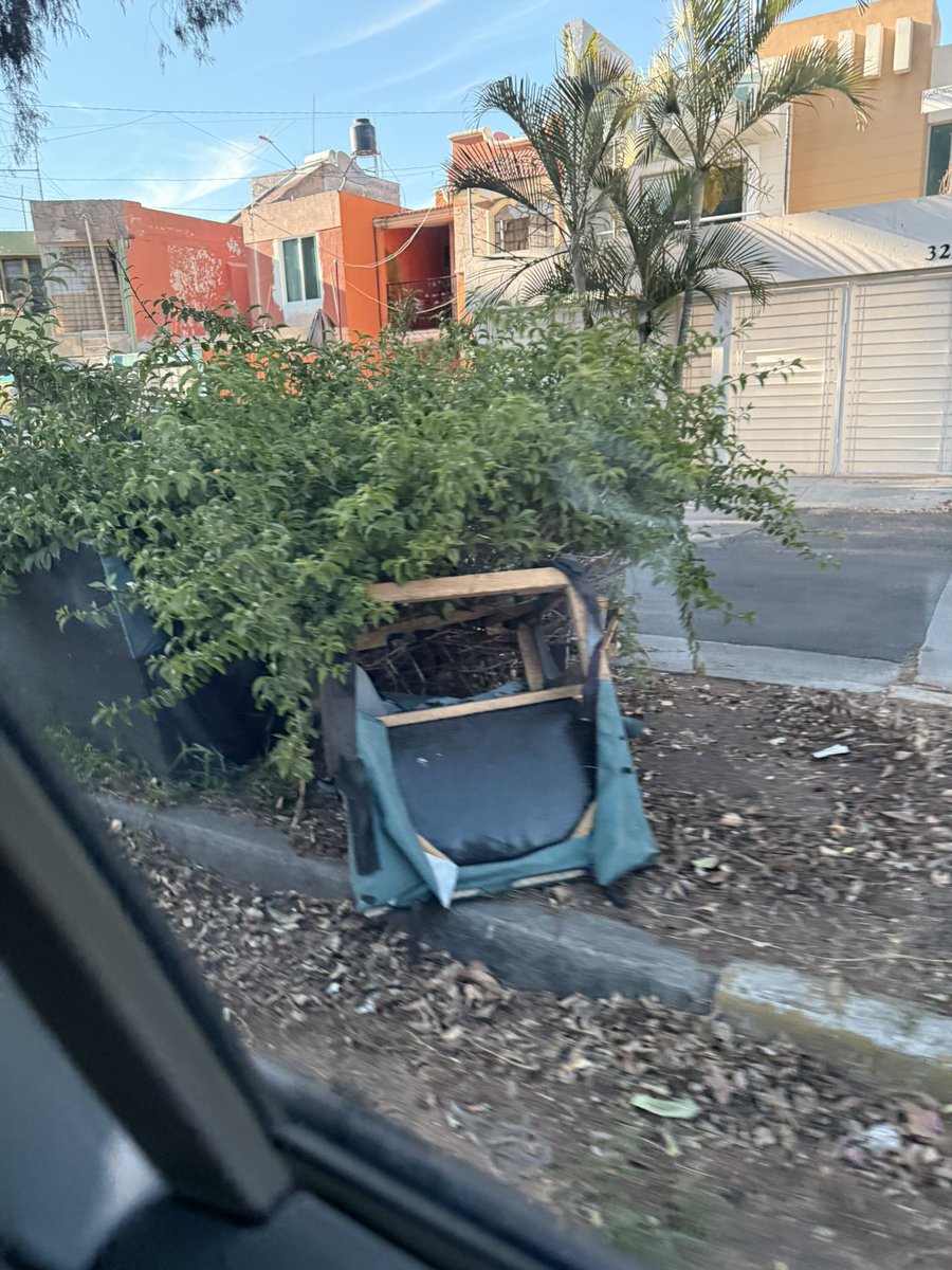 Manuel Fonseca Contreras tweet media