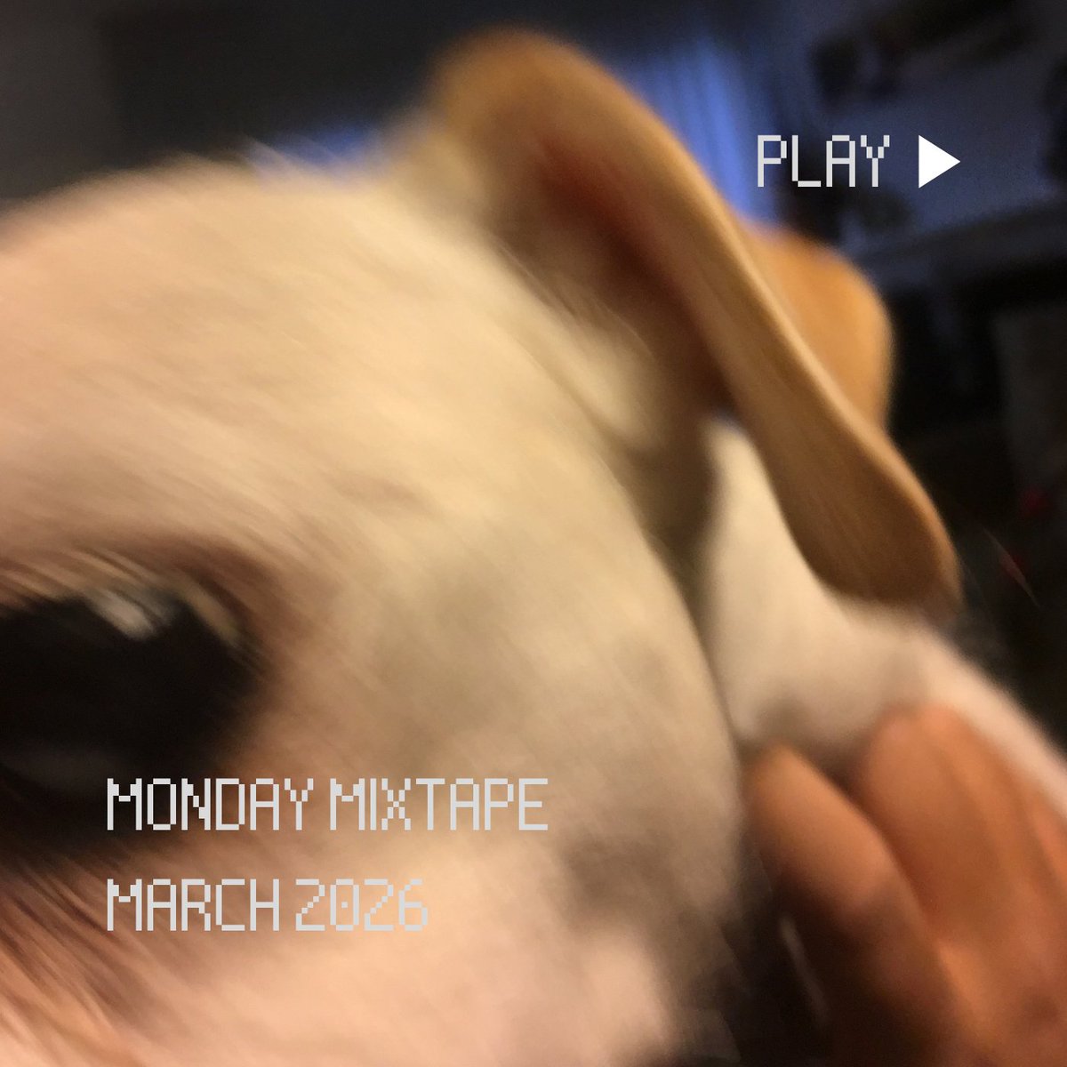 That Buzzing Sound tweet media