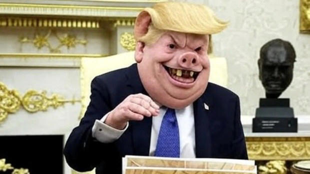 DOMINATIO tweet media