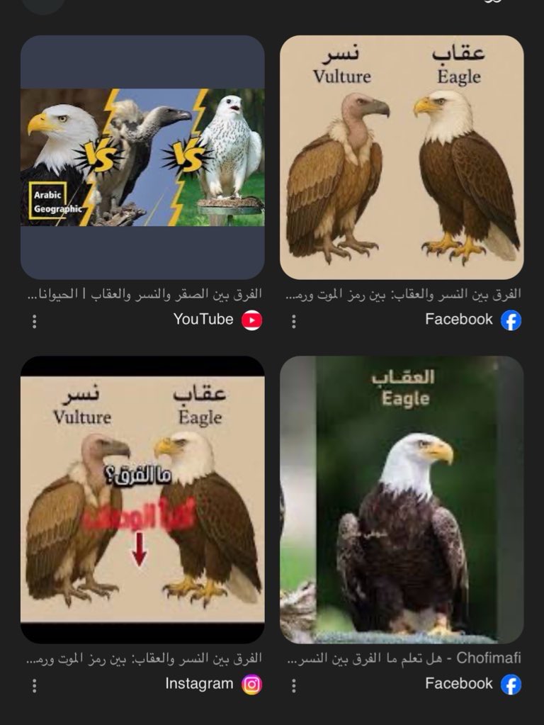 المشتري tweet media