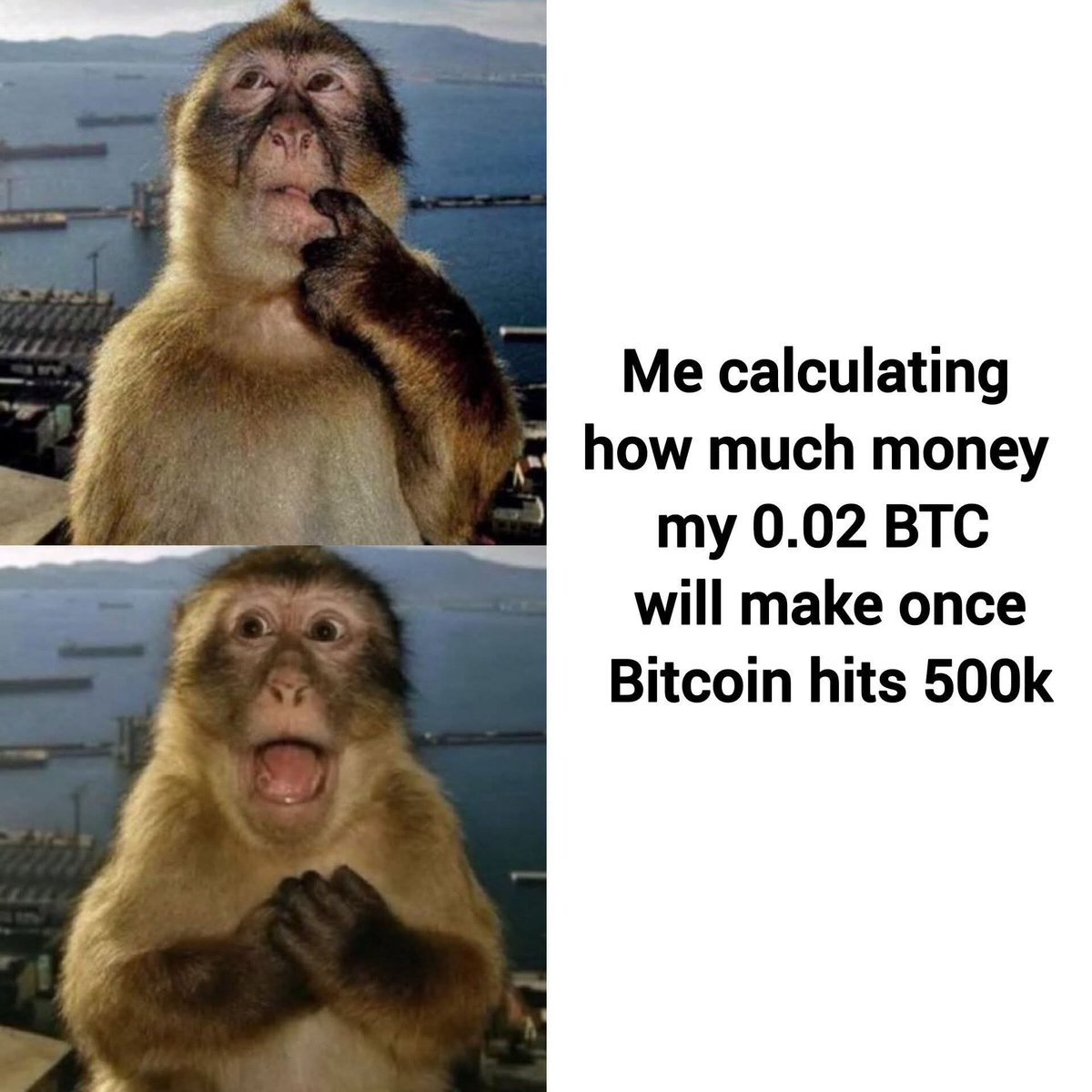 CryptoNik🔝 tweet media