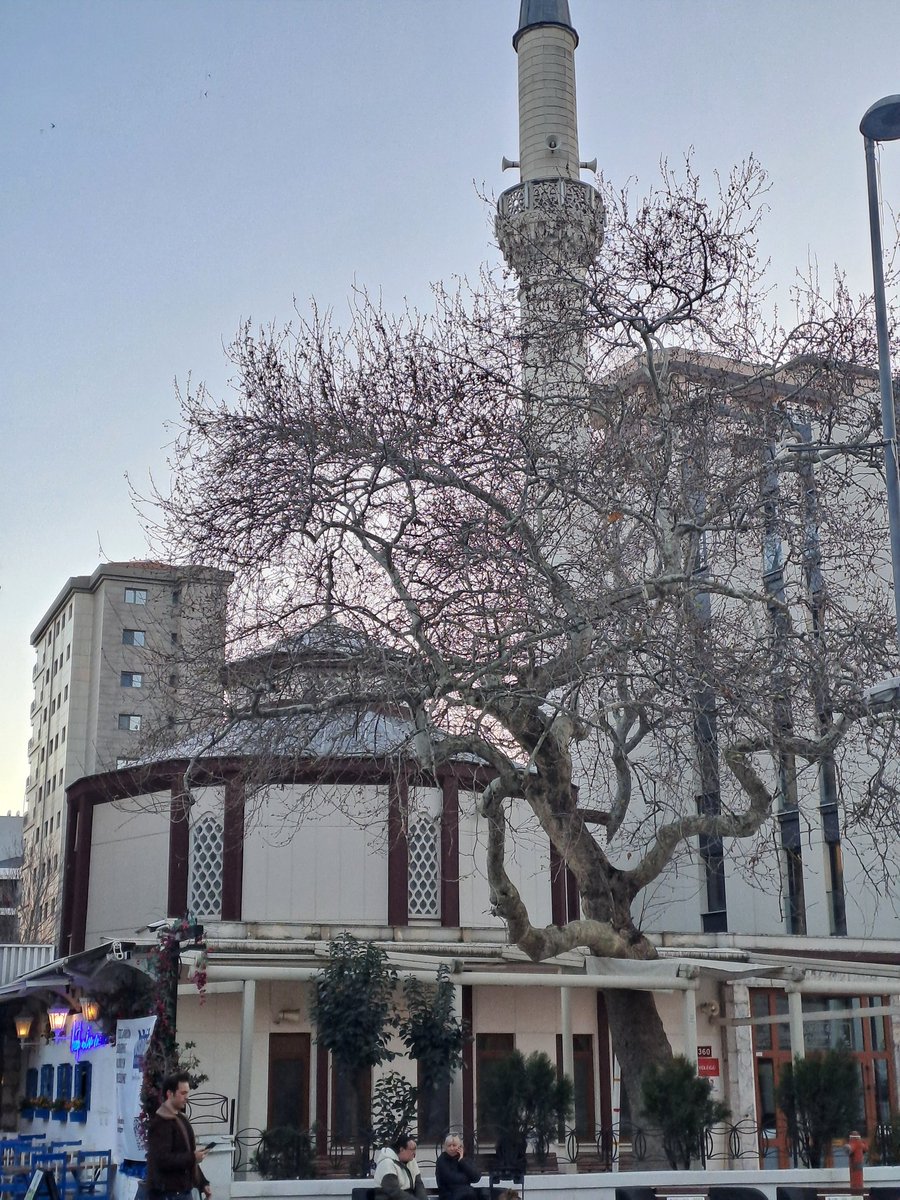 Berk Erkent tweet media