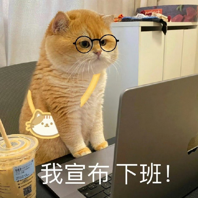 bilal3129's tweet photo. "When you thought you aced the presentation… until your slide deck auto-updated to a cat meme wallpaper mid-talk.  (Boss/Prof: ‘…Interesting take on Q3 goals.’) #WorkWin #CampusChaos #Oops" https://t.co/cLTiCwAk6U