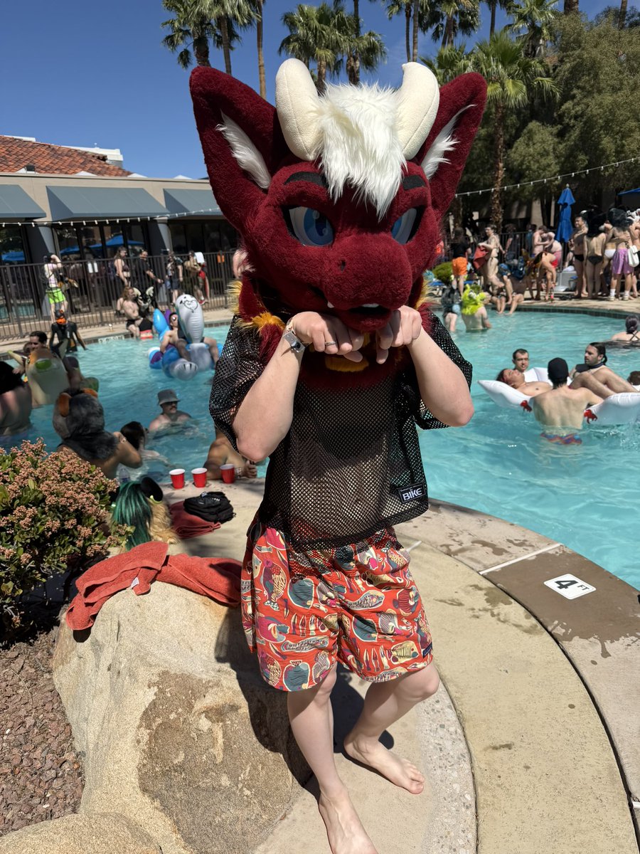 Levi🔜LVFC, FWA tweet media