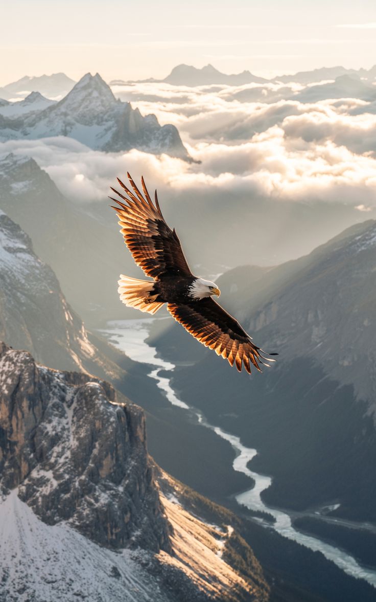 رُوحُ الرُّوح tweet media